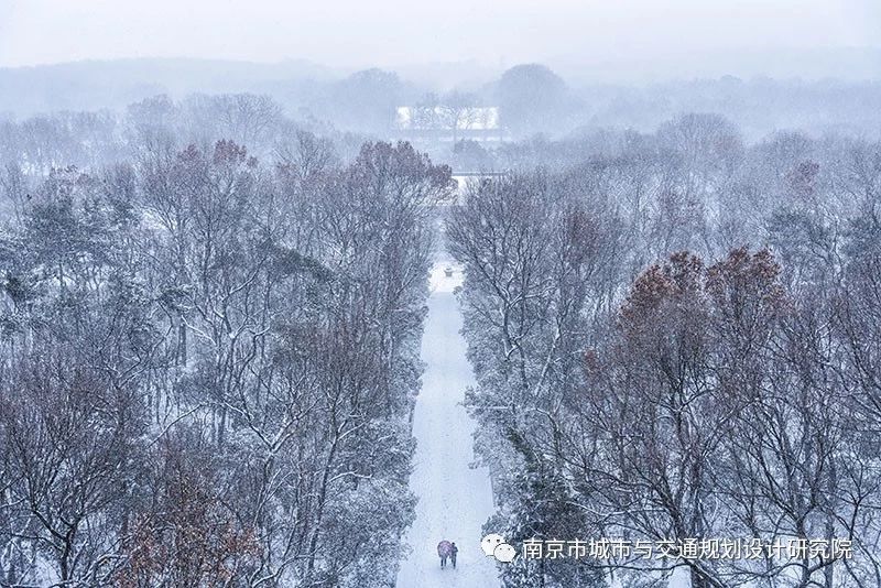 1581304277706538.jpg 10.jpg