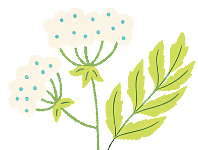 1689749508109515.gif 0.gif